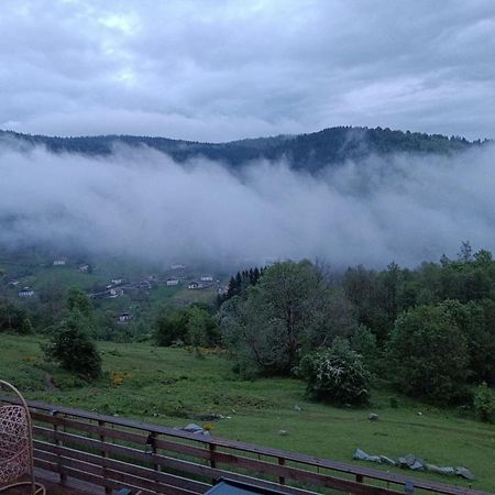 Les Chalets Bambi & Jacuzzi Privatif La Bresse Buitenkant foto