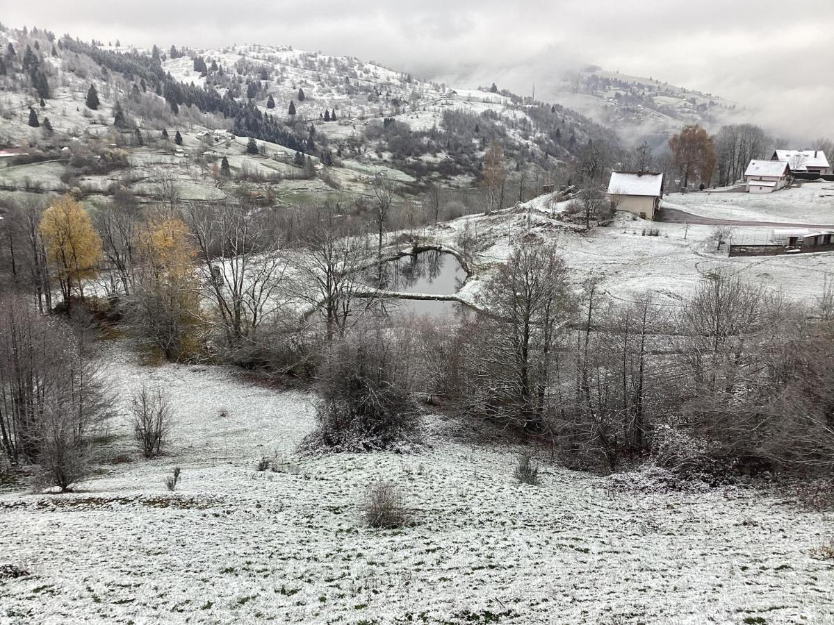 Les Chalets Bambi & Jacuzzi Privatif La Bresse Buitenkant foto