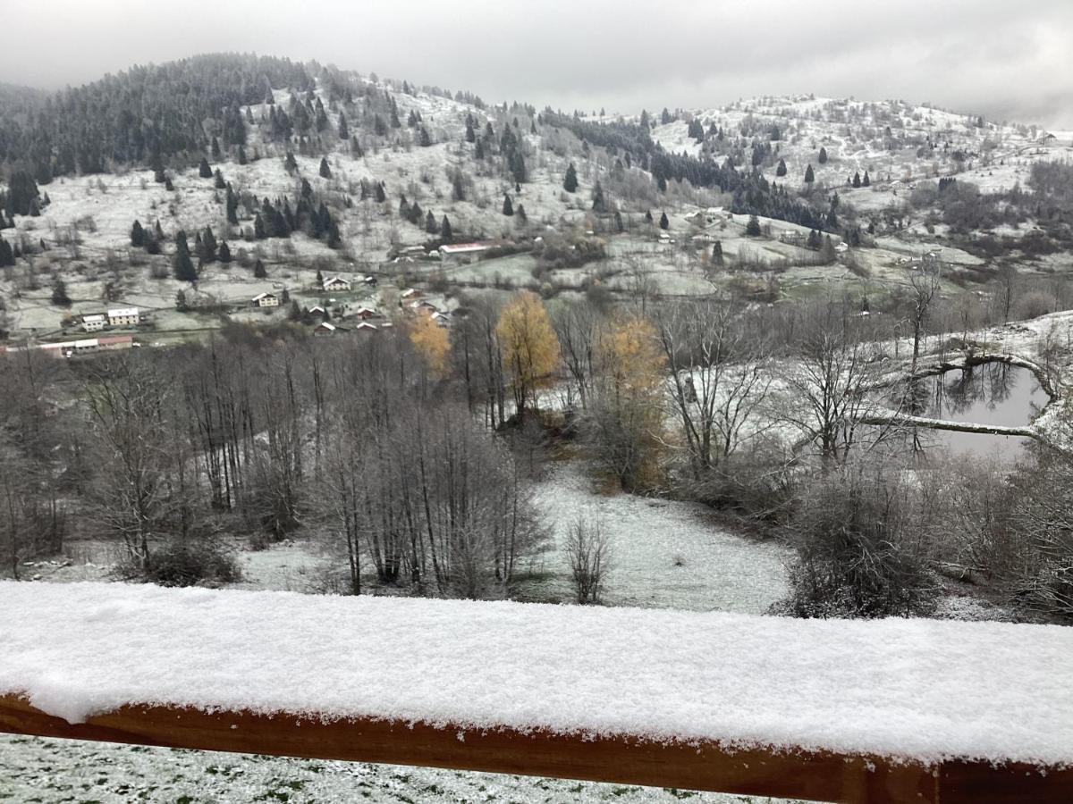 Les Chalets Bambi & Jacuzzi Privatif La Bresse Buitenkant foto