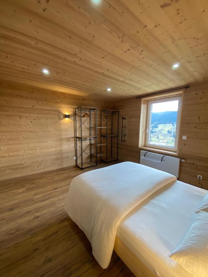 Les Chalets Bambi & Jacuzzi Privatif La Bresse Buitenkant foto