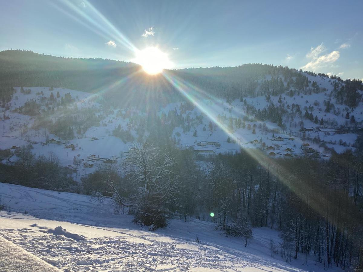 Les Chalets Bambi & Jacuzzi Privatif La Bresse Buitenkant foto