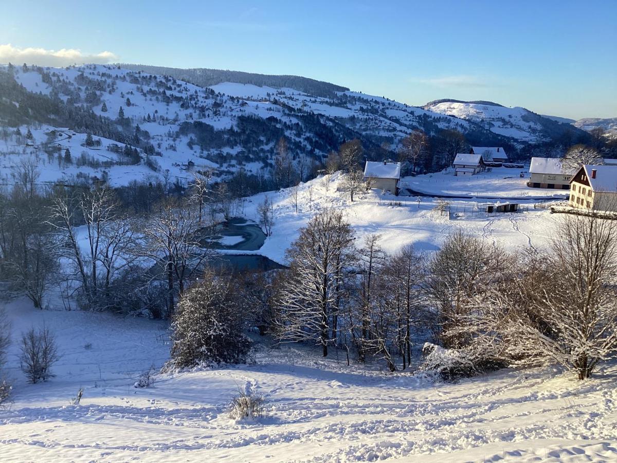 Les Chalets Bambi & Jacuzzi Privatif La Bresse Buitenkant foto