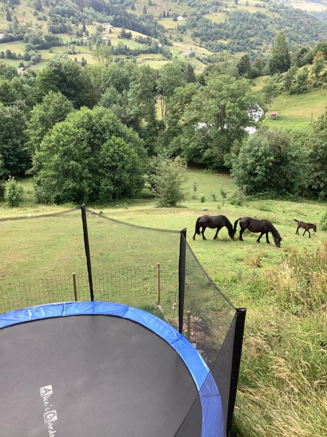 Les Chalets Bambi & Jacuzzi Privatif La Bresse Buitenkant foto