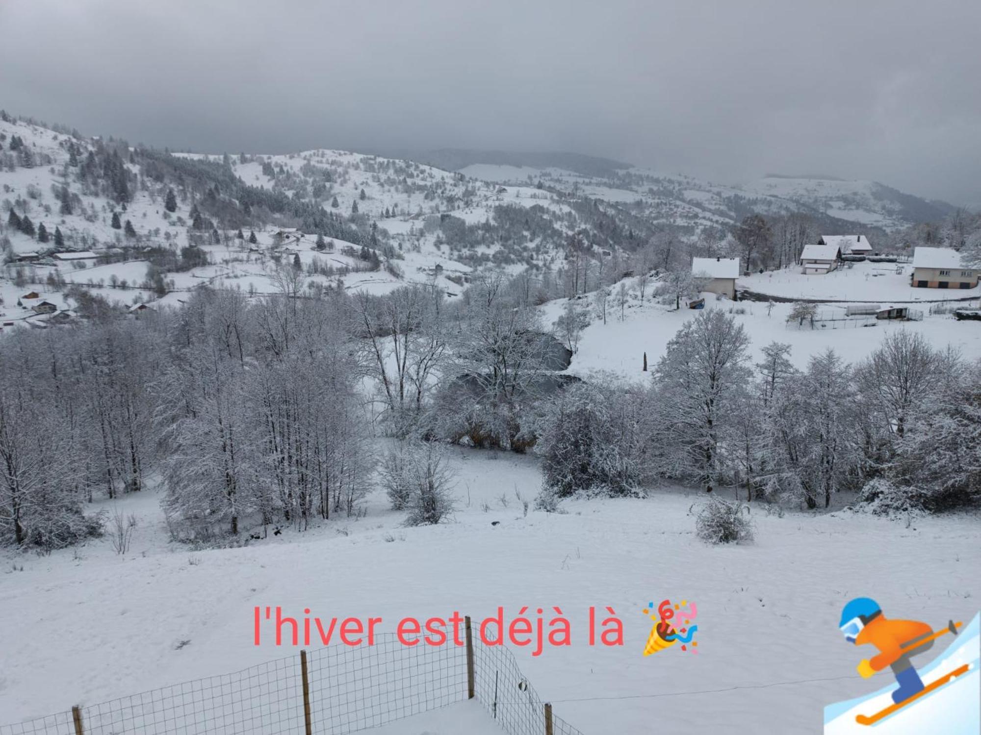 Les Chalets Bambi & Jacuzzi Privatif La Bresse Kamer foto
