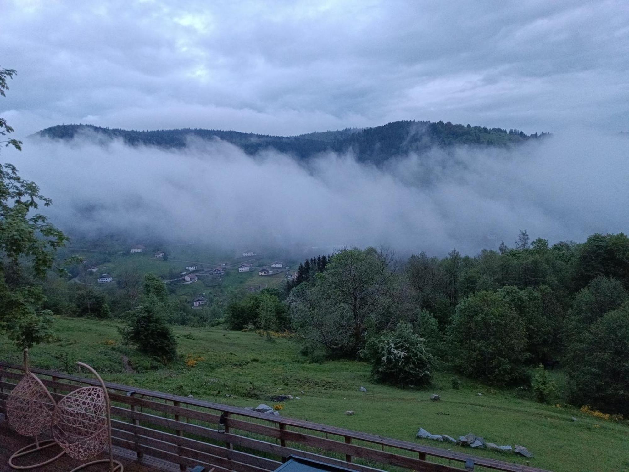 Les Chalets Bambi & Jacuzzi Privatif La Bresse Buitenkant foto
